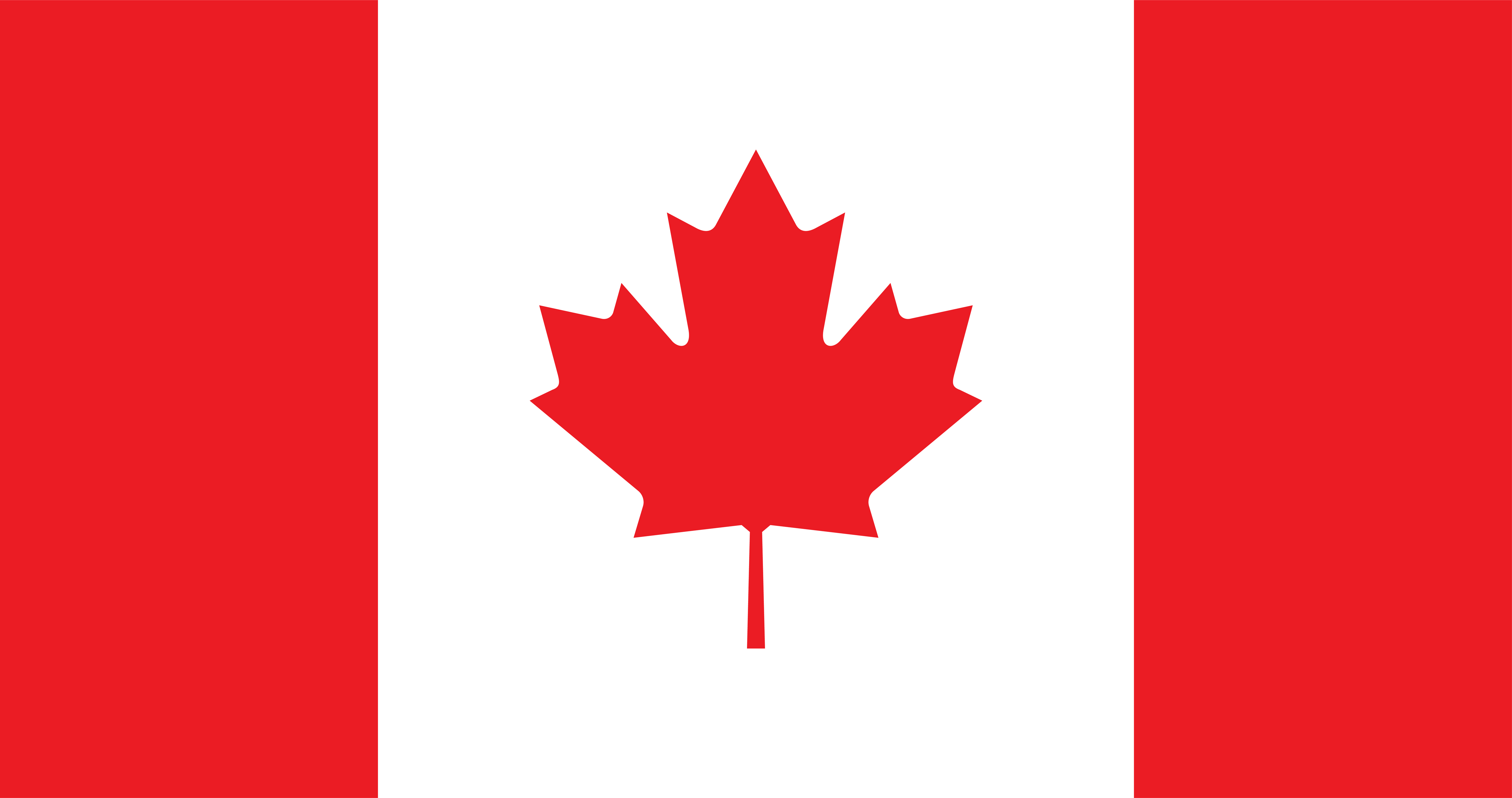 Flag Icon